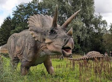 united-kingdom/shropshire/attraction/hoo-zoo-and-dinosaur-world