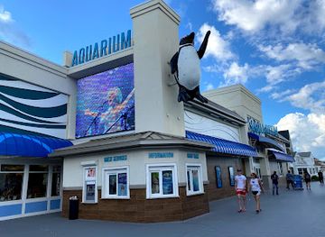 new-jersey/jersey-shore/attraction/jenkinson-s-aquarium