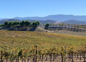 california/oceanside/attraction/leoness-cellars