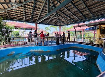 malaysia/east-malaysia/attraction/cherating-turtle-sanctuary