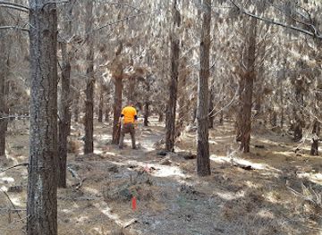 australia/central-highlands/attraction/wingello-state-forest