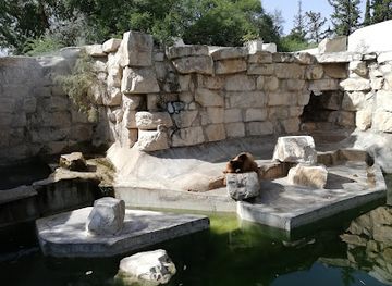 tunisia/the-tell/attraction/zoo-tunis