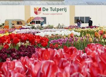 netherlands/amsterdam/attraction/de-tulperij