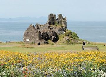 united-kingdom/isle-of-arran/attraction/dunure-castle
