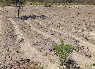 malawi/kande-beach/attraction/prophetic-miracle-farm