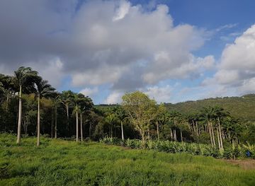 barbados/welchman-hall/attraction/amazing-adventures-barbados