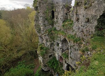 ireland/limerick/attraction/black-castle-castletroy