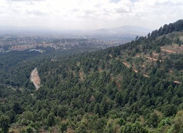 ethiopia/addis-ababa/attraction/gulele-botanical-garden