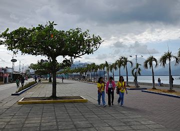 philippines/puerto-princesa/attraction/puerto-princesa-city-baywalk-christmas-tree