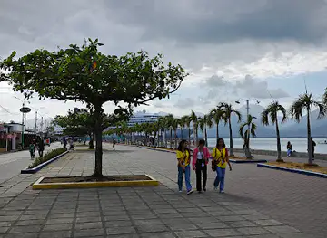 Puerto Princesa City Baywalk Christmas Tree