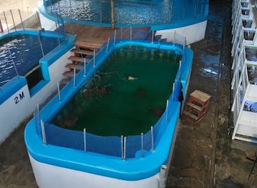 kenya/coastal-region/attraction/kenya-tropical-sealife-ltd