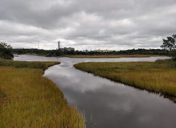 virginia/great-dismal-swamp-national-wildlife-refuge/attraction/paradise-creek-nature-park