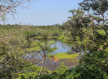 Tapiche Reserve
