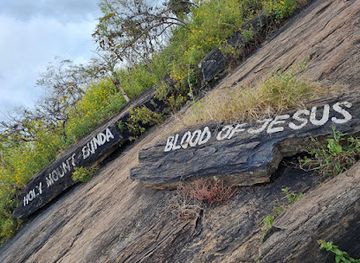 malawi/dzalanyama-forest-reserve/attraction/bunda-hill-turnoff