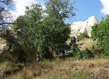 turkiye/troad/attraction/meskendir-vadisi