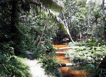 colombia/leticia/attraction/reserva-agape