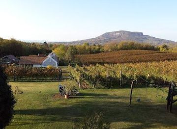 hungary/veszprem/attraction/vaba-vk-kft