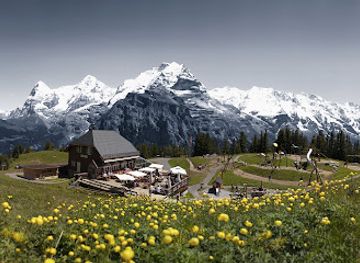 switzerland/wengen/attraction/allmendhubel