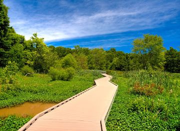 virginia/northern-virginia/attraction/huntley-meadows-park