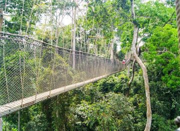 ghana/kakum-national-park/attraction/authentic-africa-tours