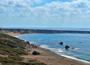 cyprus/pissouri/attraction/lara-beach