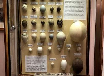 united-kingdom/windsor/attraction/eton-college-natural-history-museum