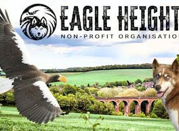 united-kingdom/devon/attraction/eagle-heights-wildlife-foundation