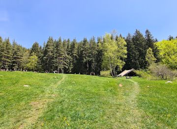 bulgaria/vitosha-mountain/attraction/zaslon-zlatnite-mostove