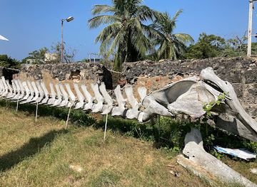 sri-lanka/puttalam-district/attraction/kalpitiya-dutch-fort