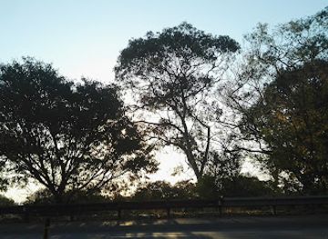 south-africa/johannesburg/attraction/brenthurst-gardens