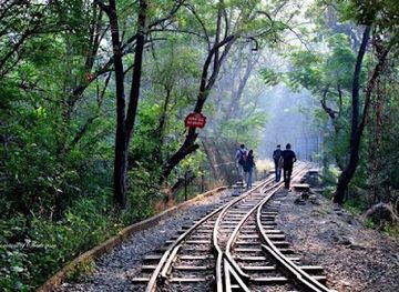 india/konkan-coast/attraction/sanjay-gandhi-national-park