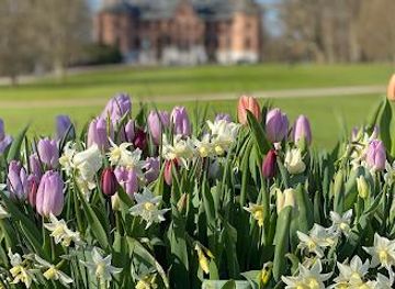 denmark/helsingor/attraction/sofiero-palace