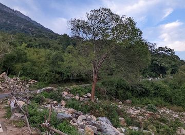 india/tamil-nadu/attraction/forest-water-falls