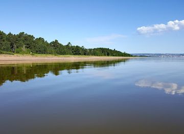 minnesota/superior-national-forest/attraction/minnesota-point-pine-forest-scientific-and-natural-area-sna