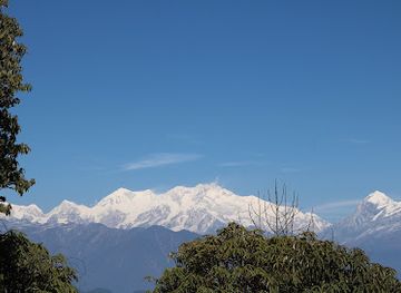 nepal/kanchenjunga-base-camp/attraction/barsey-rhododendron-sanctuary