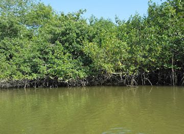 peru/tumbes/attraction/santuario-nacional-manglares-de-tumbes