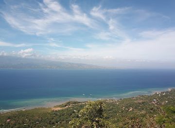 haiti/bassin-bleu/attraction/haut-palmiste