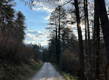 bosnia-and-herzegovina/jajce/attraction/borovi