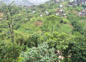 india/aizawl/attraction/dg-park