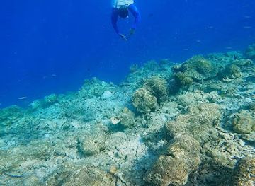 maldives/male/villingili/attraction/vilingili-housereef