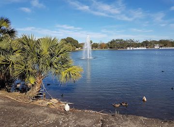 louisiana/lake-borgne/attraction/the-singing-oak