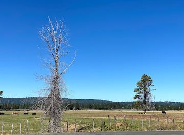 idaho/ponderosa-state-park/attraction/the-mccall-activity-barn