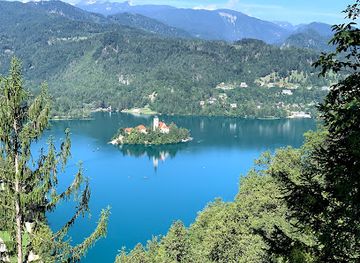 slovenia/bled/attraction/pustolovski-park-bled