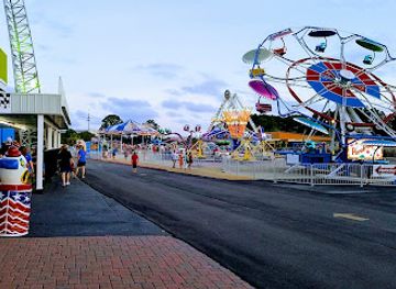 florida/panama-city-beach/attraction/cobra-adventure-park