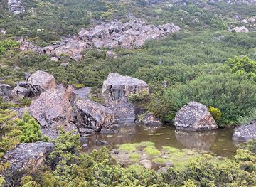 australia/mount-field-national-park/attraction/stella-s-tarn