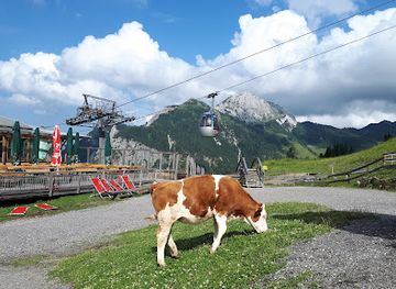 austria/gailtal/attraction/sommerrodelbahn-pendolino