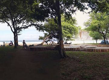 nicaragua/southern-region/attraction/playa-la-flor