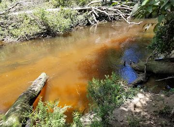 mississippi/desoto-national-forest/attraction/black-creek-hiking-trailhead-parking-area