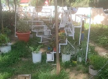 tanzania/iringa/attraction/public-garden