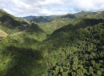 puerto-rico/south-region/attraction/palito-de-ponce